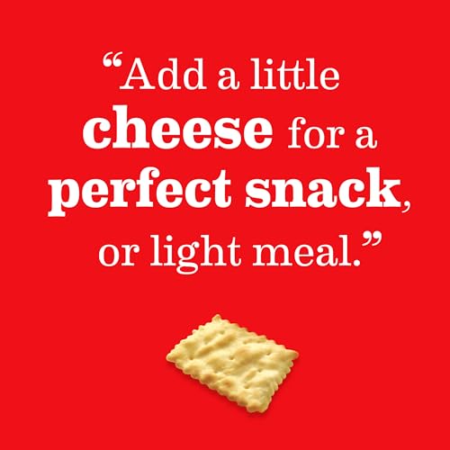 RITZ Toasted Chips Sour Cream and Onion Crackers, Party Snacks, 8.1 oz