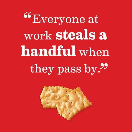RITZ Toasted Chips Sour Cream and Onion Crackers, Party Snacks, 8.1 oz